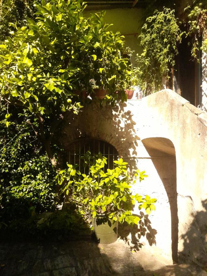 Nonna Anita Bed & Breakfast Castelveccana Luaran gambar