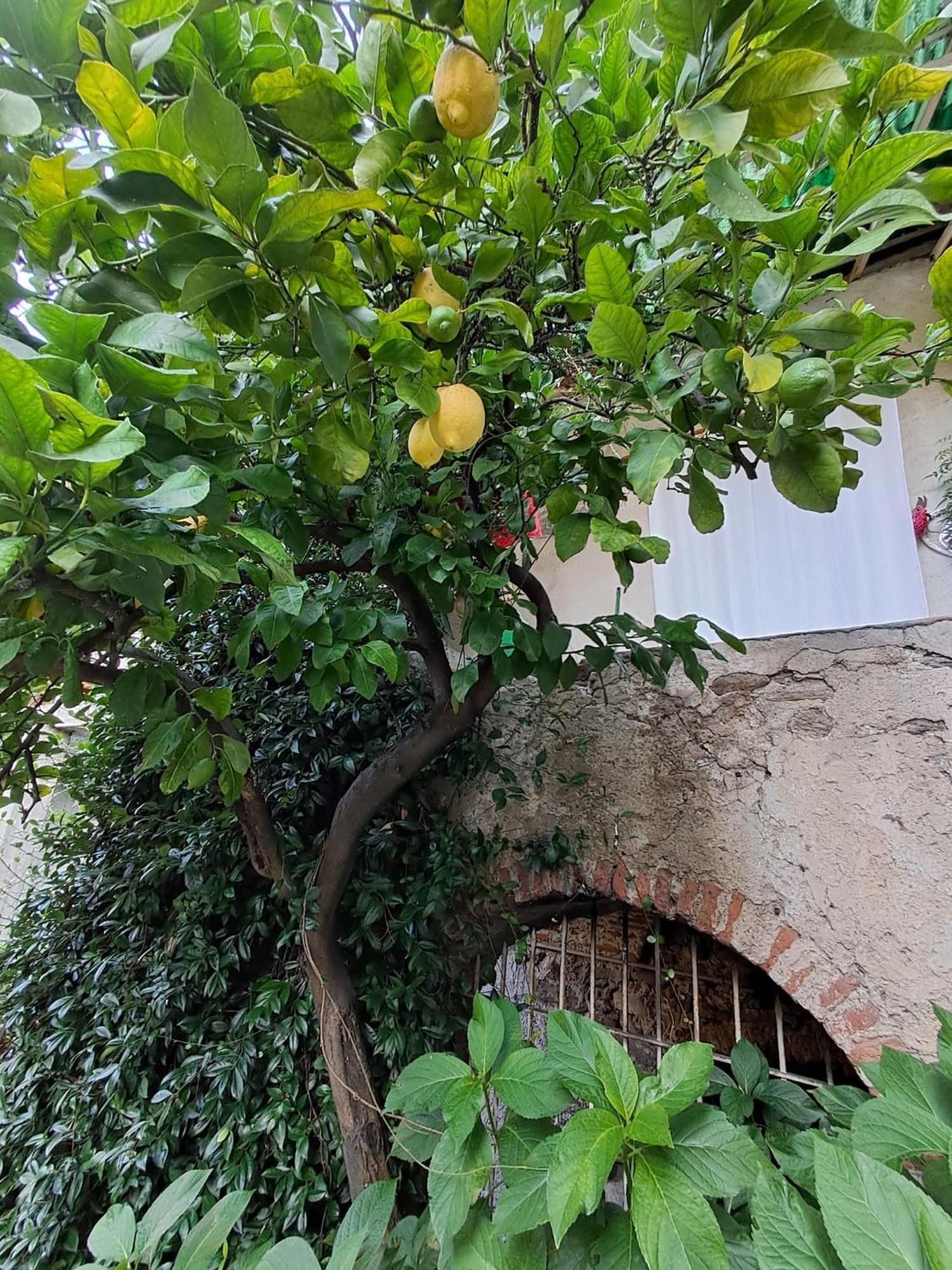 Nonna Anita Bed & Breakfast Castelveccana Luaran gambar