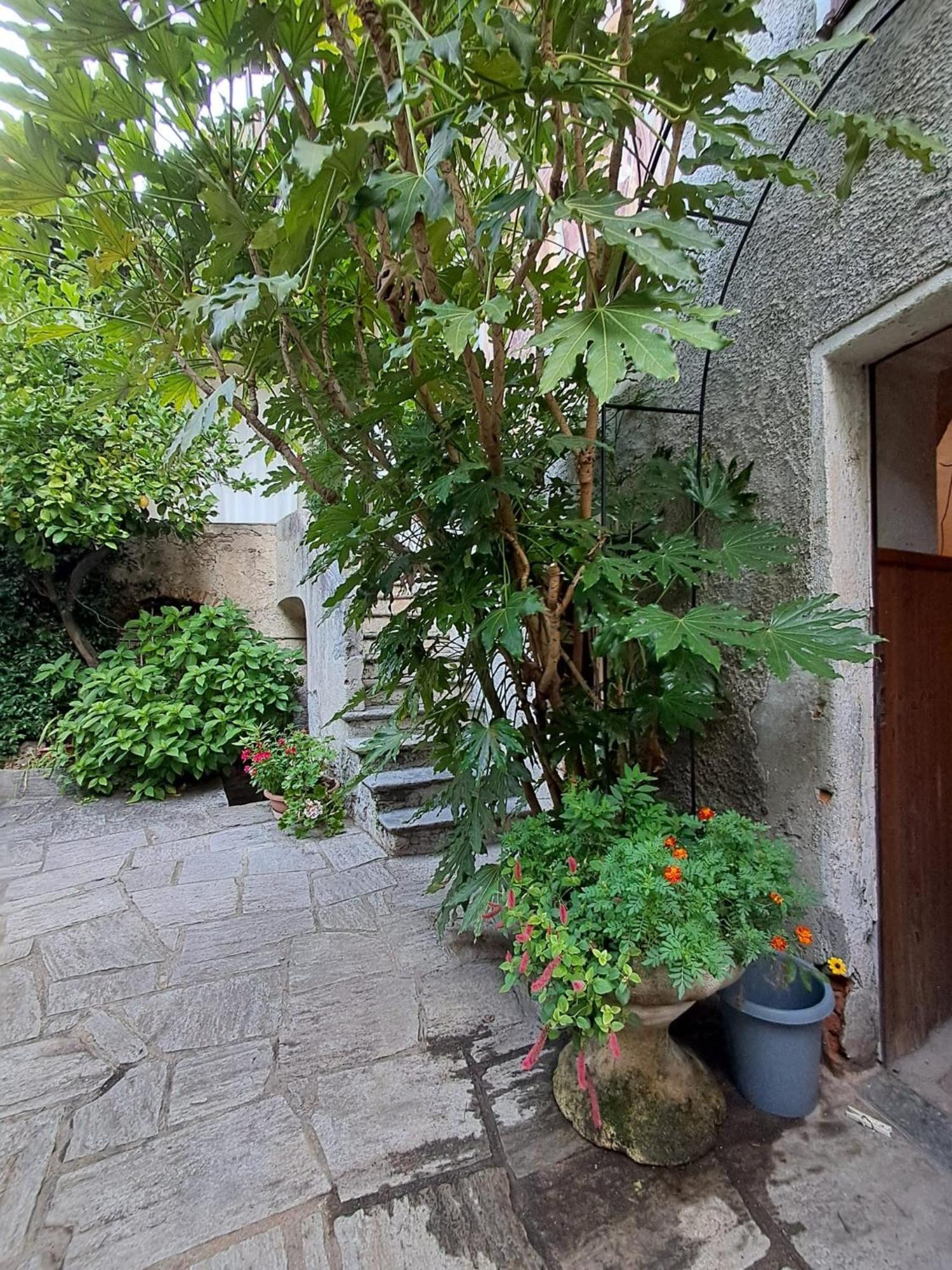 Nonna Anita Bed & Breakfast Castelveccana Luaran gambar