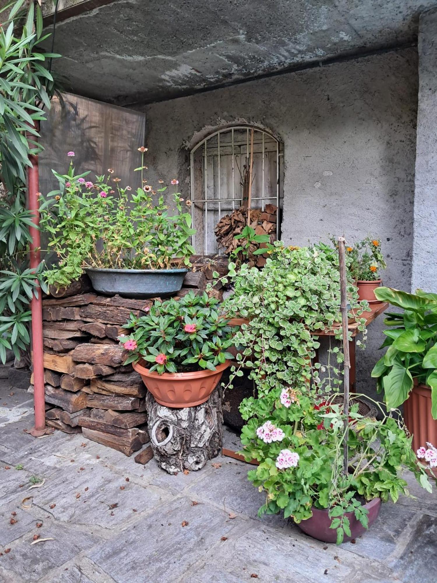 Nonna Anita Bed & Breakfast Castelveccana Luaran gambar